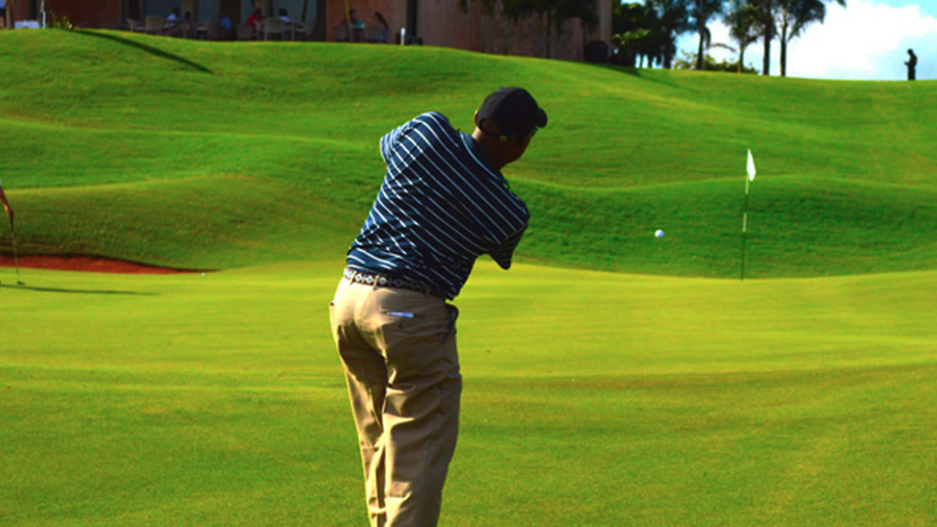 Championship Golf
