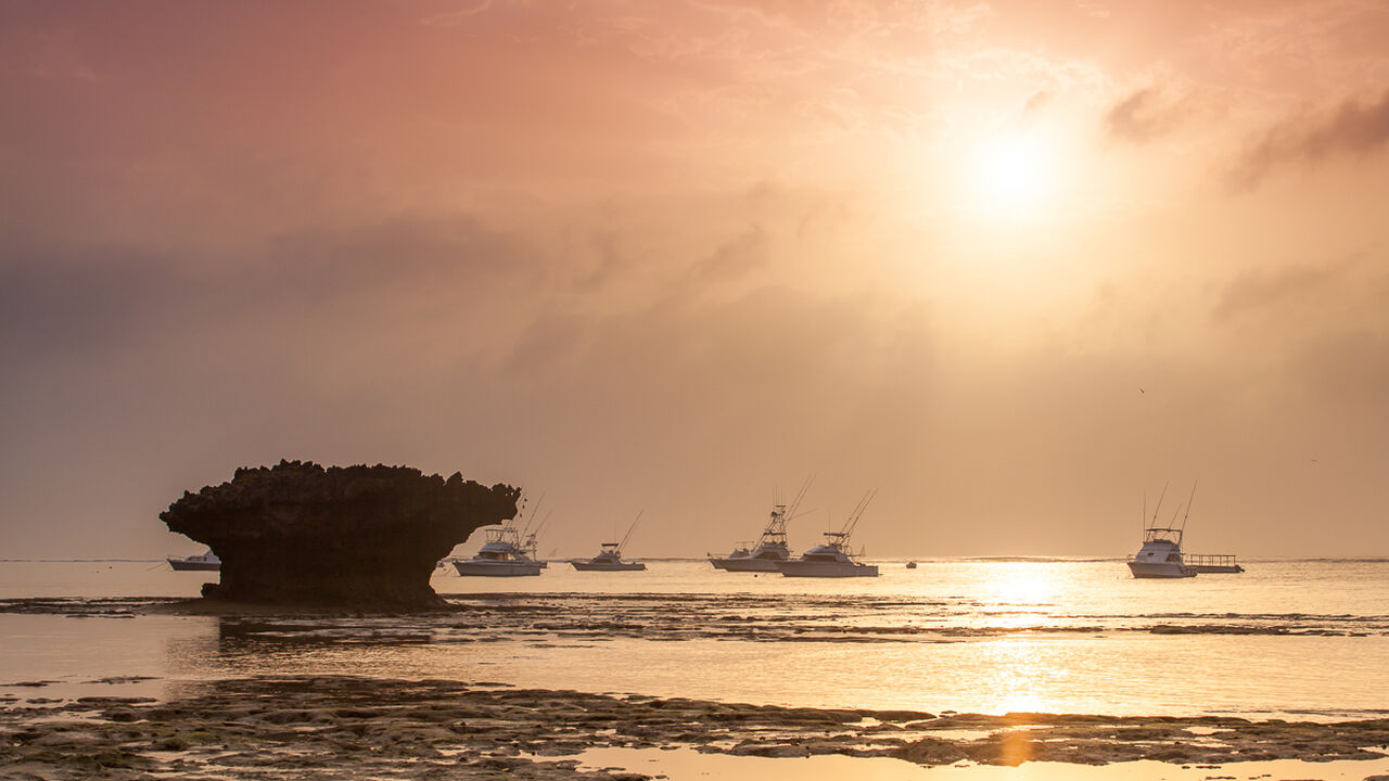 Medina Seascape 05