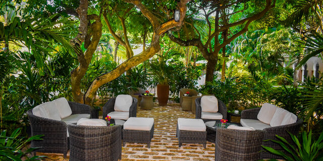 Coffee Garden