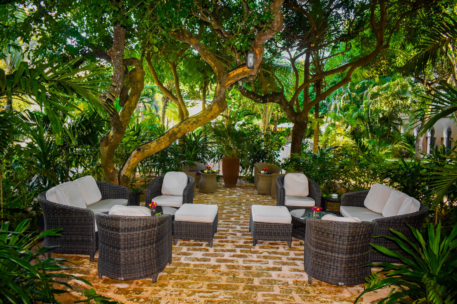 coffee Garden